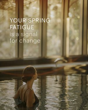 Image post by @shawellness on Instagram