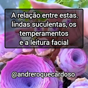 Image post by @andreroquecardoso on Instagram