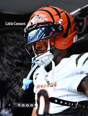 Image post by @bengals on Instagram