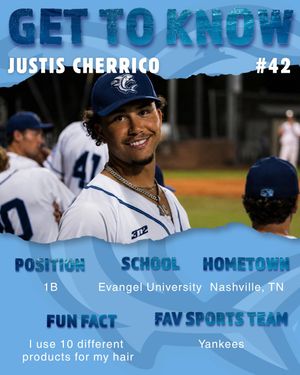 Image post by @ilmsharks on Instagram