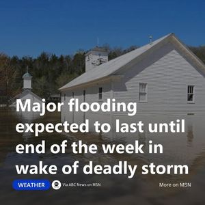 Image post by @msn on Instagram