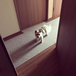 Image post by @cotuo on Instagram