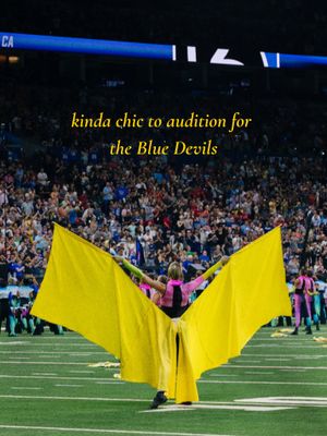 Image post by @thebluedevils on Instagram