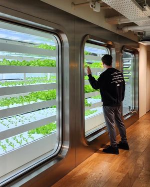 Image post by @filmedbymatthew on Instagram