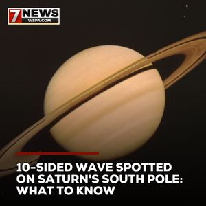 Image post by @wspatv on Instagram