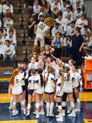 Image post by @msubobcatsvb on Instagram
