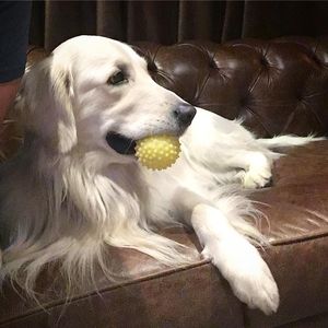 Image post by @mikethewhitegolden on Instagram