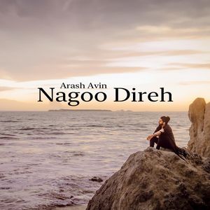 Image post by @arashavin on Instagram
