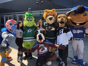 Image post by @lakingsicecrew on Instagram