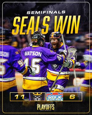 Image post by @sealslax on Instagram