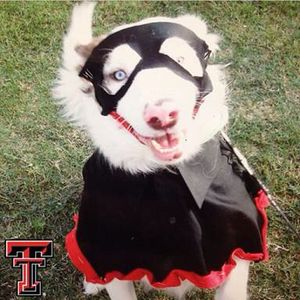 Image post by @texastechathletics on Instagram