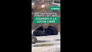 Video post by @laopinionla on YouTube