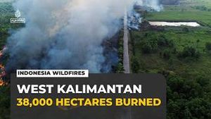 Video post by @Al Jazeera English on YouTube