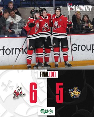 Image post by @ohlicedogs on Instagram