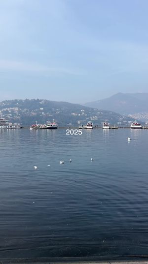 Video post by @byjleary on TikTok