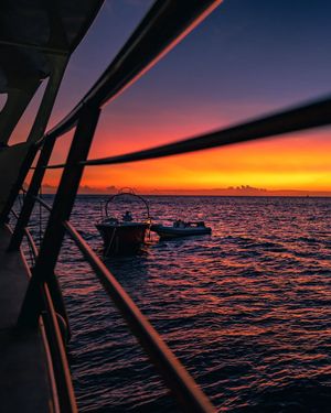 Image post by @serfermedia on Instagram
