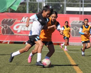 Image post by @fedefutguate on Instagram