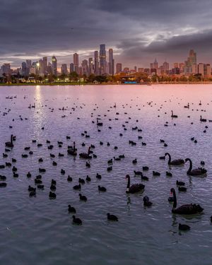 Image post by @visitmelbourne on Instagram