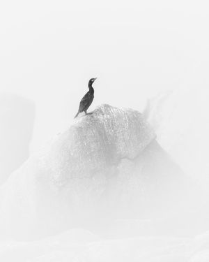 Image post by @mathieurivrin_photographies on Instagram