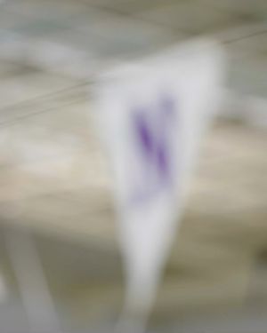Image post by @nuswimdive on Instagram