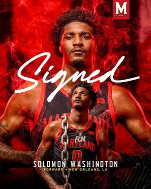 Image post by @terrapinhoops on Instagram