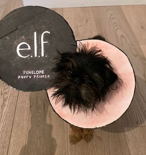 Image post by @elfcosmetics on Twitter