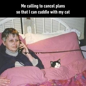 Image post by @9gag on Instagram