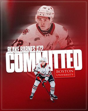 Image post by @ohlicedogs on Instagram