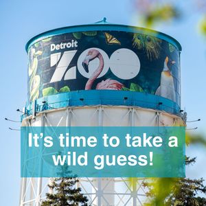 Image post by @detroitzoo on Instagram