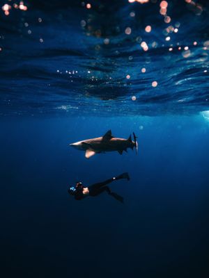 Image post by @moment on Instagram
