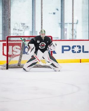 Image post by @minnesotawild on Instagram