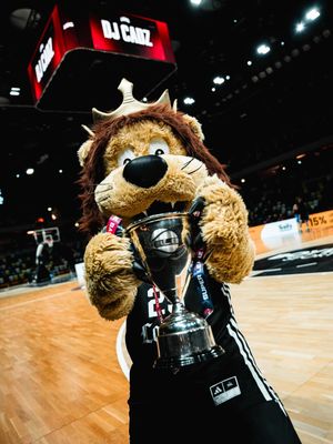 Image post by @londonlions on Instagram