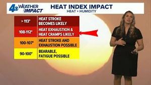 Video post by @wwltv on YouTube