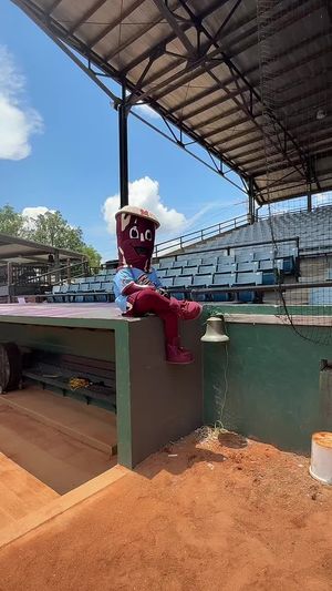 Video post by @gomaconbacon on TikTok