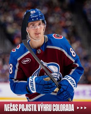 Image post by @nhlcesko on Instagram