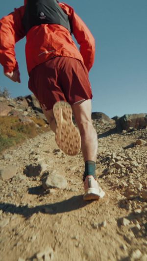 Video post by @thenorthface on TikTok
