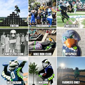 Image post by @blitztheseahawk on Instagram