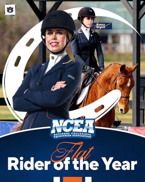 Image post by @auburnequestrian on Instagram