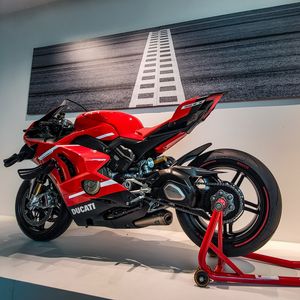 Image post by @panigalers on Instagram