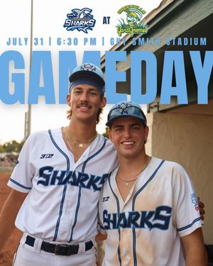 Image post by @ilmsharks on Instagram