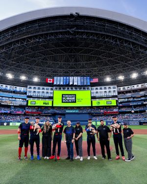 Image post by @bluejays on Instagram
