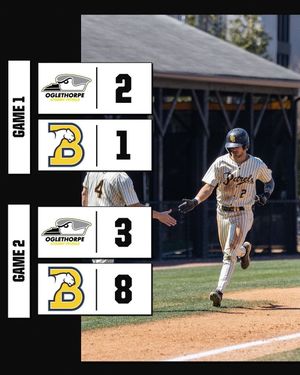 Image post by @gopetrelsbsb on Instagram