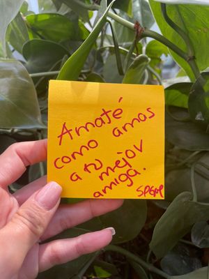 Image post by @yosoysofiagasque on Instagram