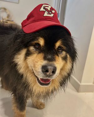 Image post by @bostoncollege on Instagram