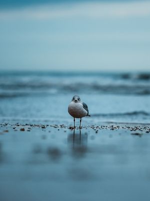 Image post by @buddyghi.photo on Instagram