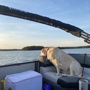 Image post by @charlotteskiboats on Facebook