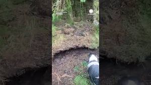 Video post by @accuweather on YouTube