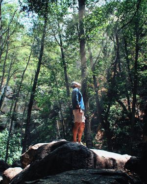 Image post by @justimsalas on Instagram