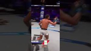 Video post by @pflmma on YouTube