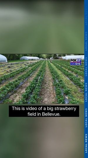 Video post by @foxnashville on Instagram